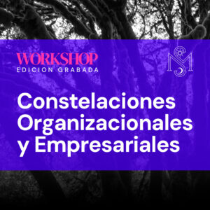Constelaciones Organizacionales y Empresariales